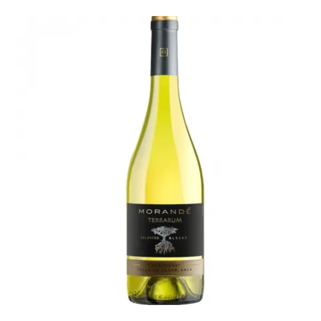 29 - MORANDÉ SELECT BLOCK CHARDONNAY